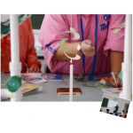 【小学部】燃教育之火，秀教育之美——综合组青年教师研讨课